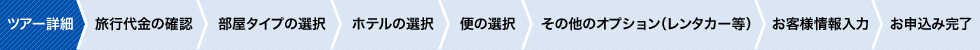 お申し込みの流れ：ツアー詳細→旅行代金の確認→部屋タイプの選択→ホテルの選択→便の選択→その他のオプション（レンタカー等）→お客様情報入力→お申し込み完了